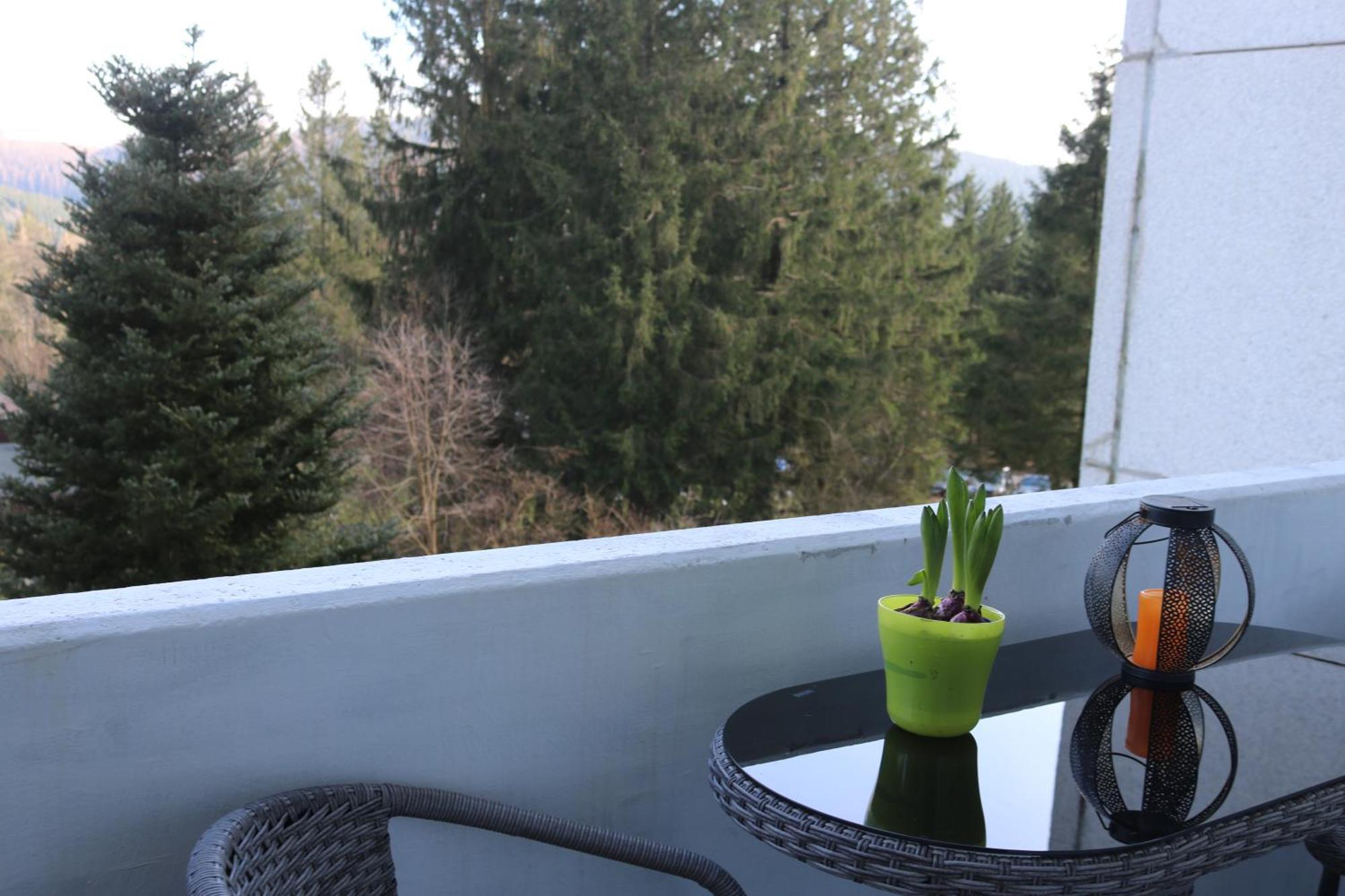 Natur Suite Goslar Exterior photo