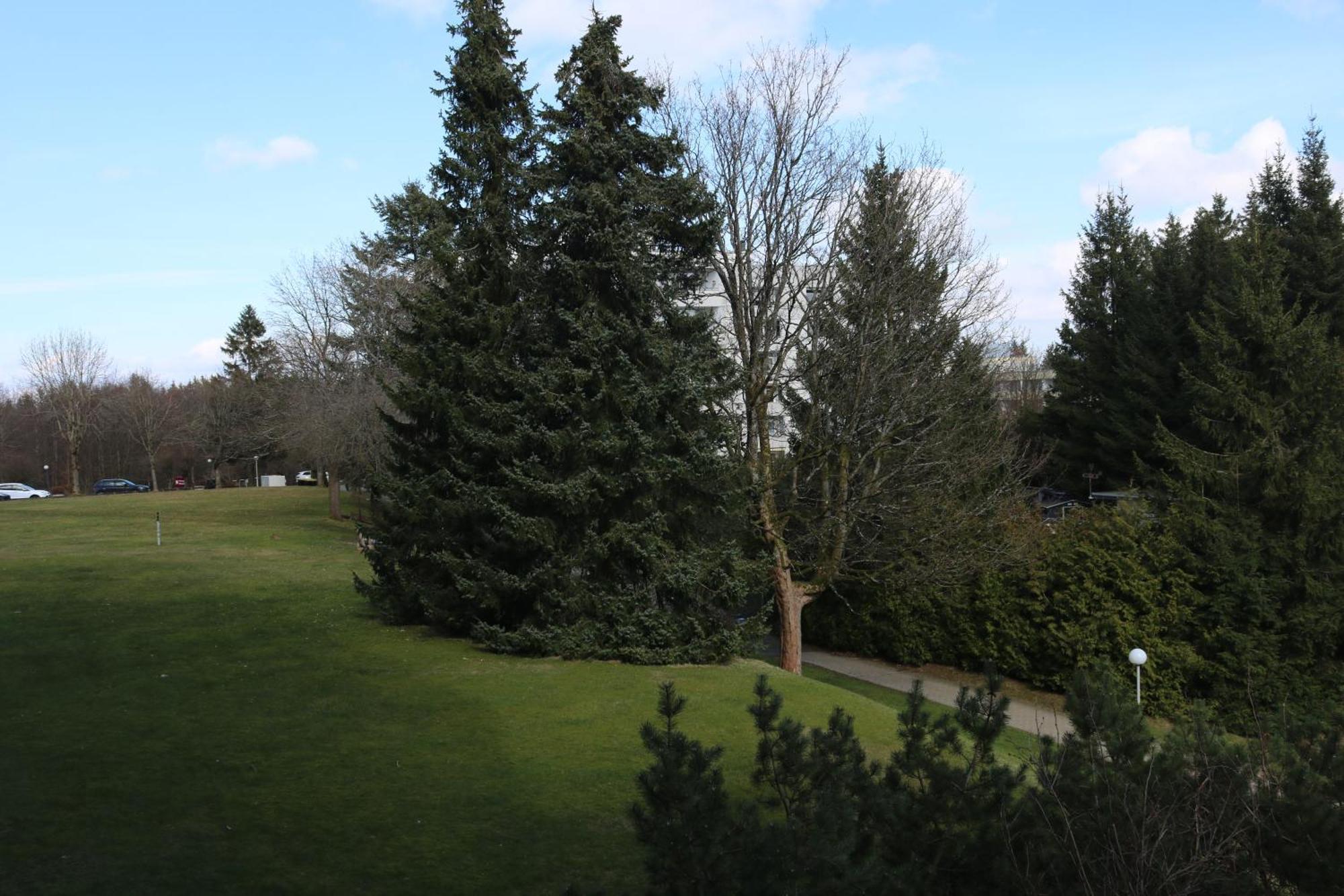 Natur Suite Goslar Exterior photo